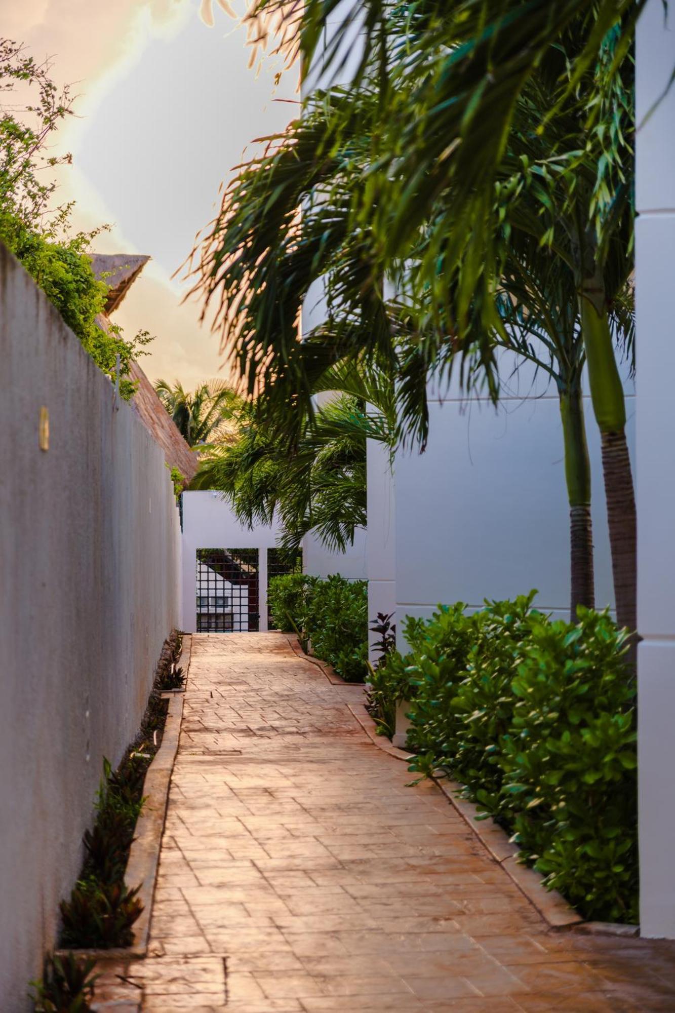 Azulea Isla Mujeres Hotel المظهر الخارجي الصورة